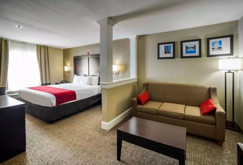 身障者適用スイートルーム, Comfort Inn & Suites Fm1960 Champions