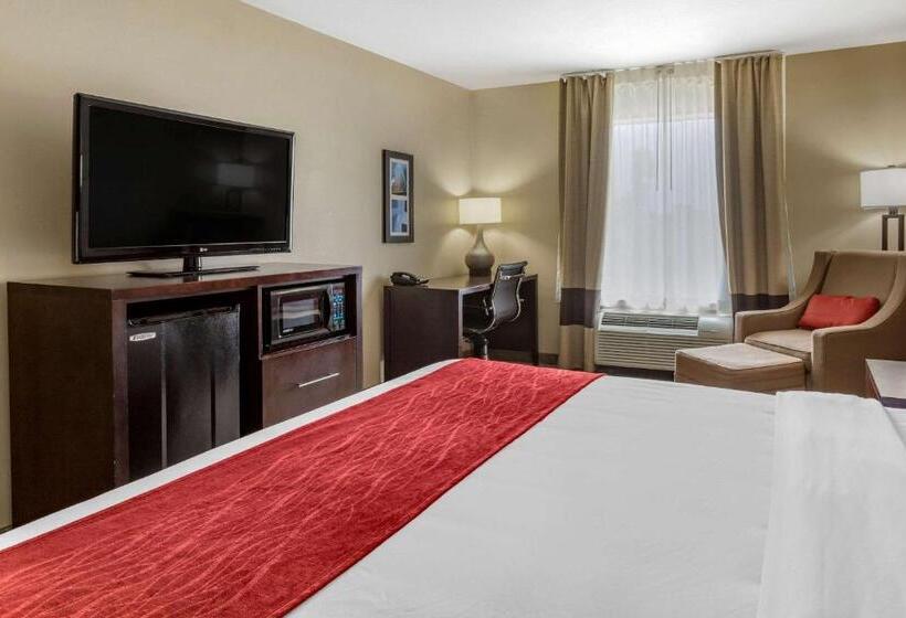 اتاق استاندارد با تخت بزرگ, Comfort Inn & Suites Fm1960 Champions