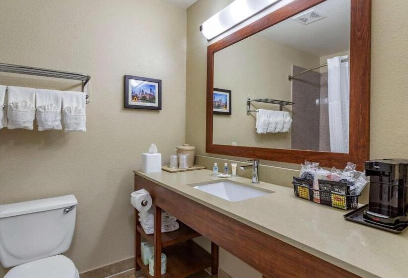 Стандартный Номер Кровать Кинг, Comfort Inn & Suites Fm1960 Champions