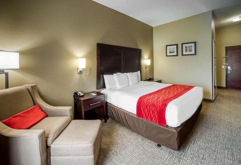 Стандартный Номер Кровать Кинг, Comfort Inn & Suites Fm1960 Champions