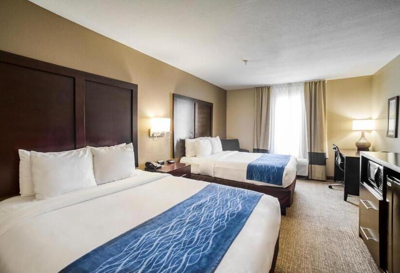 Номер Стандарт, Comfort Inn & Suites Fm1960 Champions