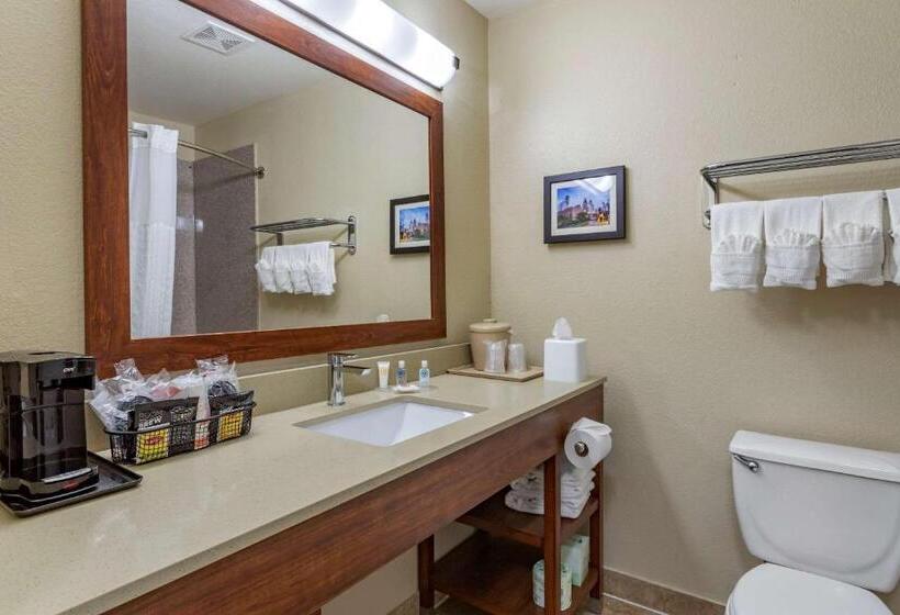 Номер Стандарт, Comfort Inn & Suites Fm1960 Champions