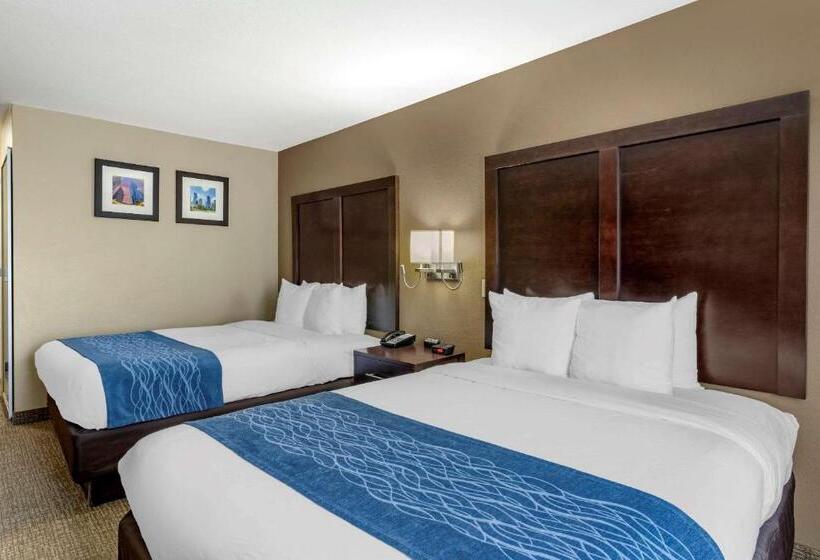 Номер Стандарт, Comfort Inn & Suites Fm1960 Champions