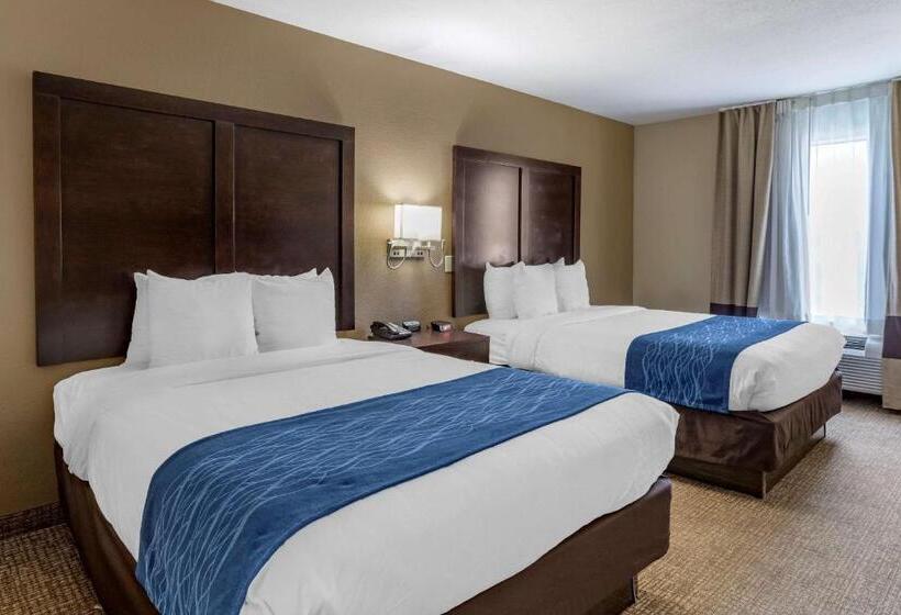 Номер Стандарт, Comfort Inn & Suites Fm1960 Champions