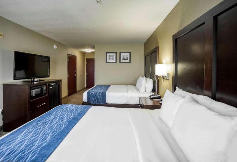 Номер Стандарт, Comfort Inn & Suites Fm1960 Champions