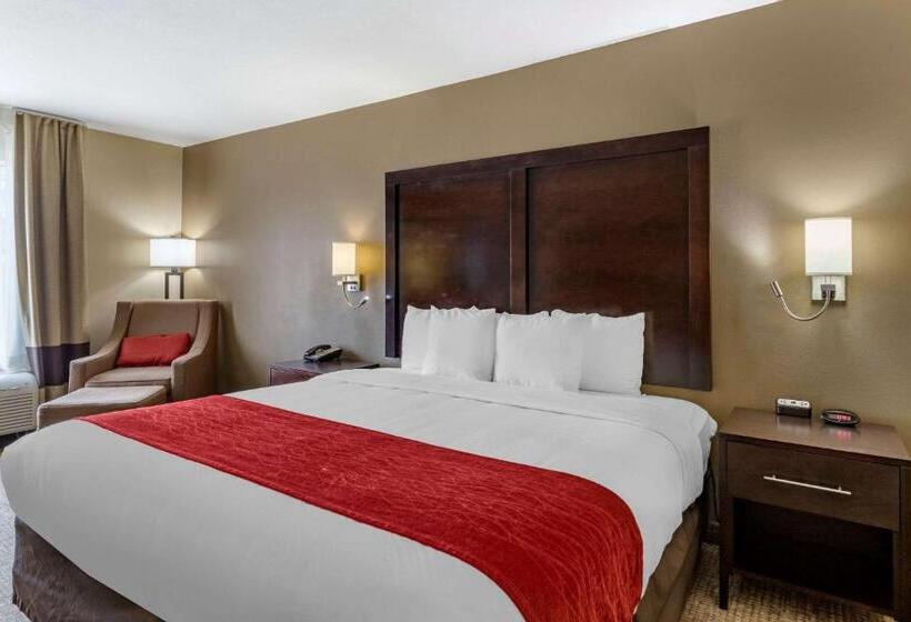 Номер Стандарт Кровать Кинг Адаптированный для Инвалидов, Comfort Inn & Suites Fm1960 Champions