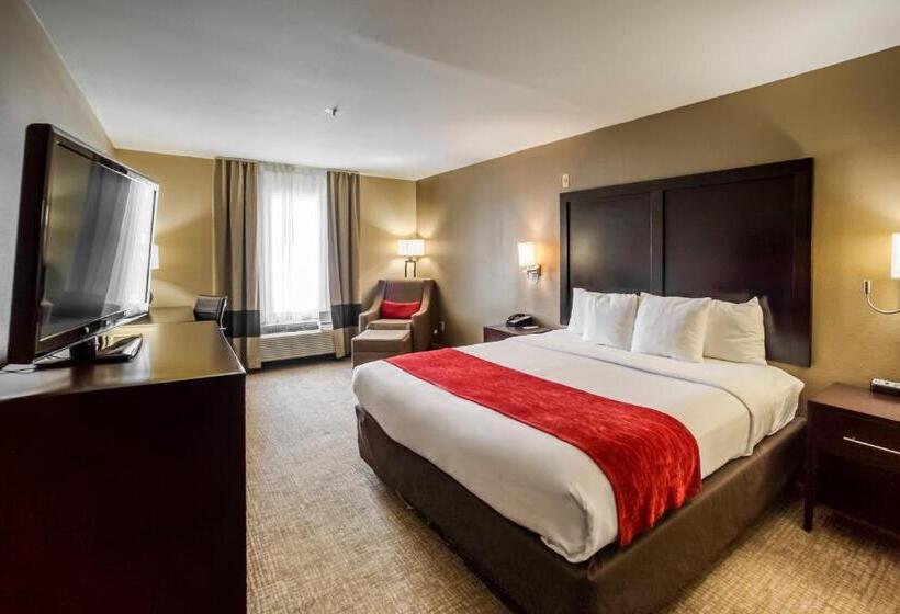 Номер Стандарт Кровать Кинг Адаптированный для Инвалидов, Comfort Inn & Suites Fm1960 Champions