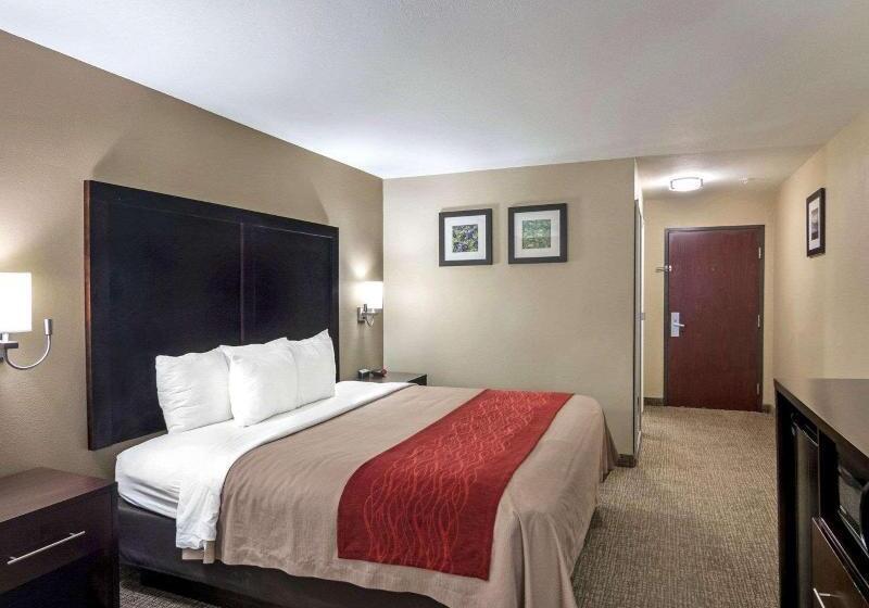Стандартный Номер Кровать Кинг, Comfort Inn & Suites Fm1960 Champions