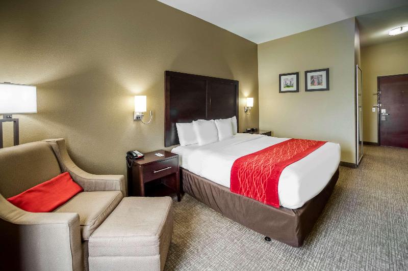 اتاق استاندارد با تخت بزرگ, Comfort Inn & Suites Fm1960 Champions