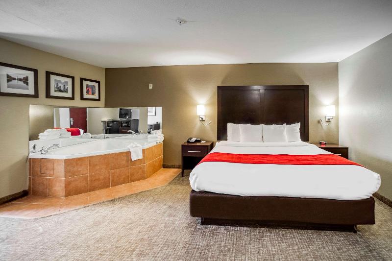 سوئیت با تخت بزرگ, Comfort Inn & Suites Fm1960 Champions