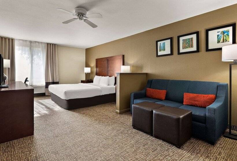 جناح سرير كينج, Comfort Inn & Suites Sequoia Kings Canyon