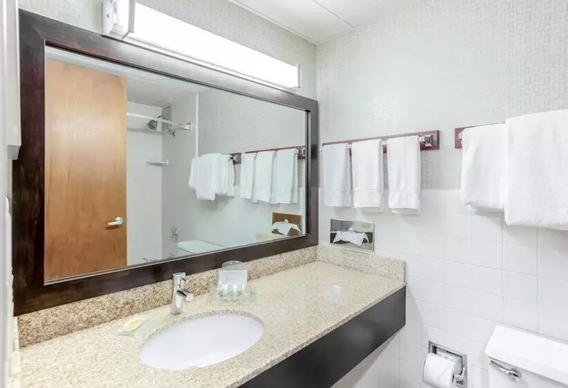 اتاق استاندارد با 2 تخت دوبل, Delamar Traverse City