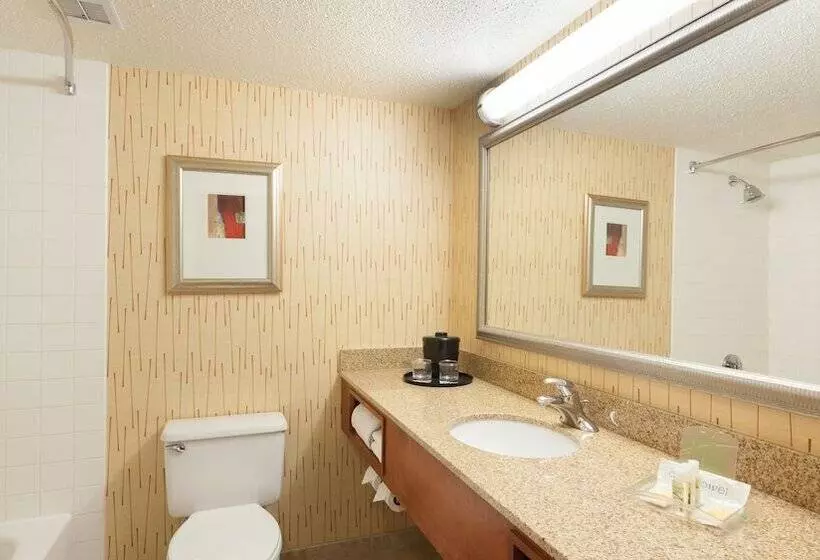 ２ダブルベッドのスタンダードルーム, Holiday Inn Cincinnati Airport, An Ihg