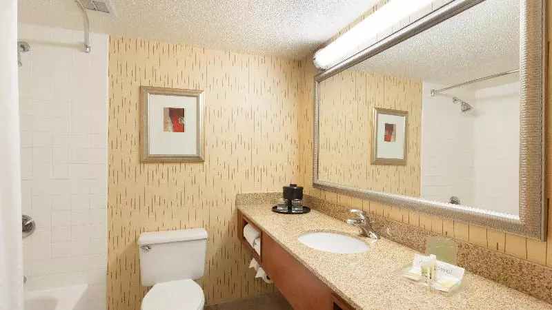 キングサイズベッドのスタンダードルーム, Holiday Inn Cincinnati Airport, An Ihg