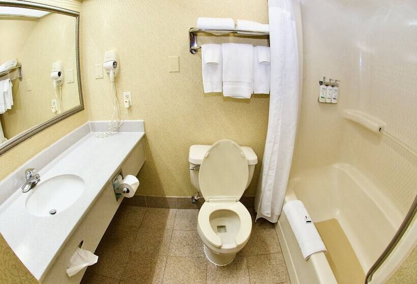 Номер Стандарт, Holiday Inn Express Hotel & Suites Fenton/i 44, An Ihg