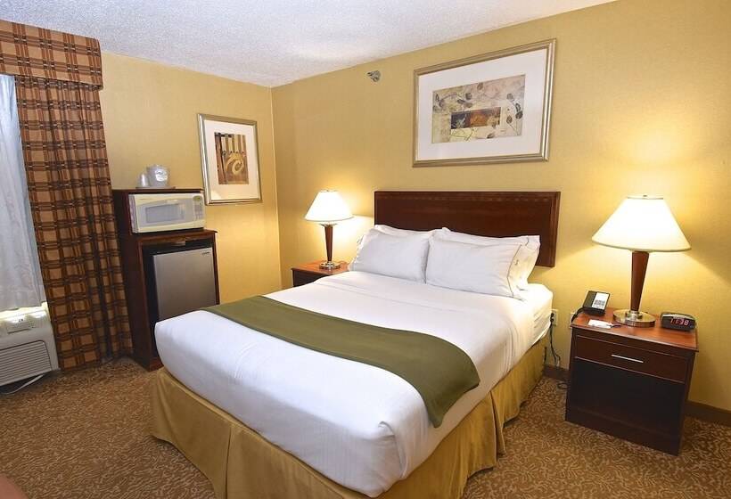 غرفة قياسية, Holiday Inn Express Hotel & Suites Fenton/i 44, An Ihg