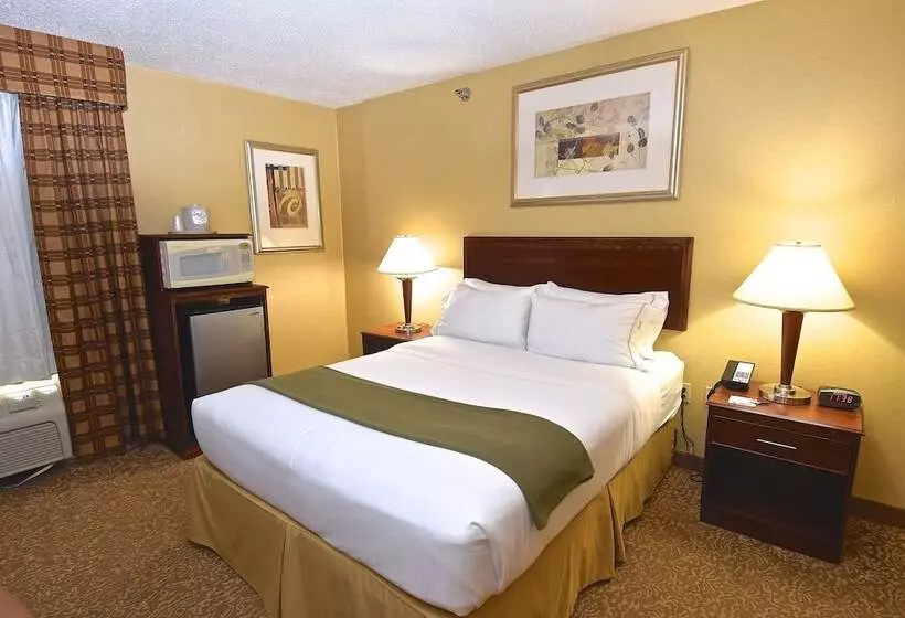 スタンダードルーム, Holiday Inn Express Hotel & Suites Fenton/i 44, An Ihg