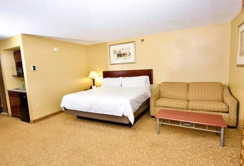 スイート, Holiday Inn Express Hotel & Suites Fenton/i 44, An Ihg