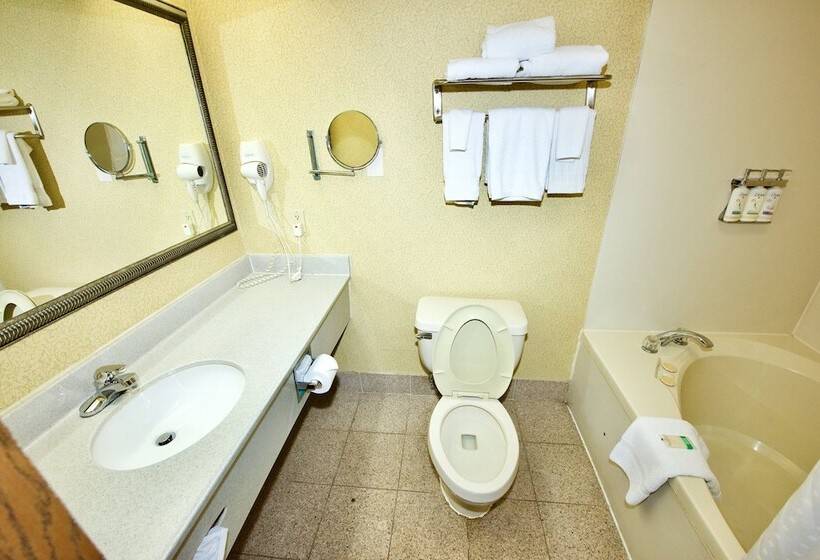 جناح, Holiday Inn Express Hotel & Suites Fenton/i 44, An Ihg