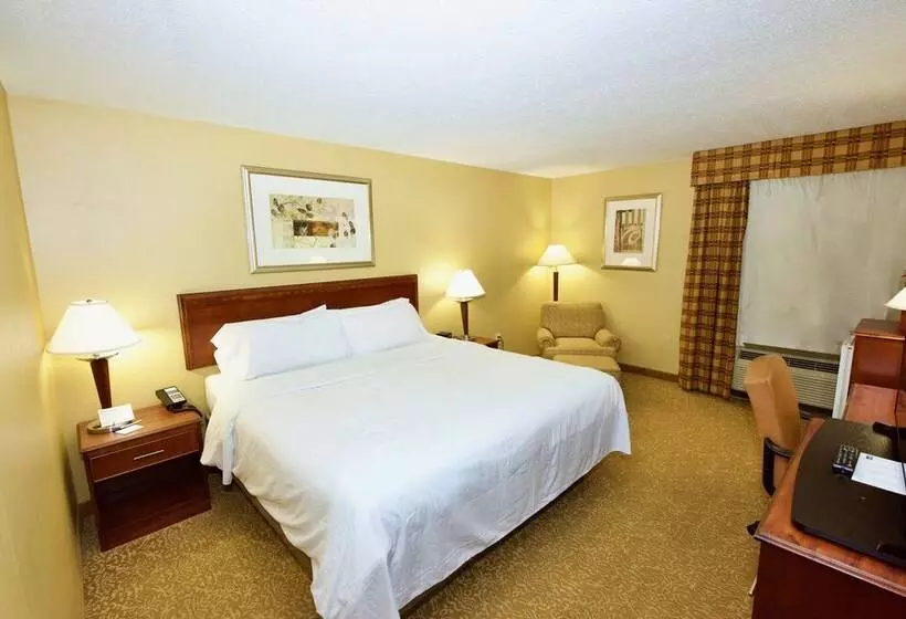 スイート, Holiday Inn Express Hotel & Suites Fenton/i 44, An Ihg