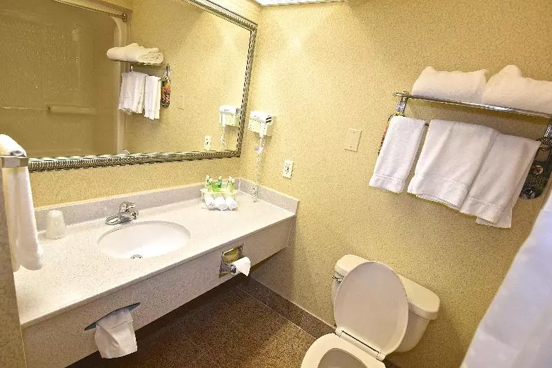 キングサイズベッドのスイートルーム, Holiday Inn Express Hotel & Suites Fenton/i 44, An Ihg