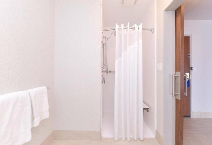 Стандартный Номер Кровать Кинг, Holiday Inn Express Glenwood Springs Aspen Area, An Ihg