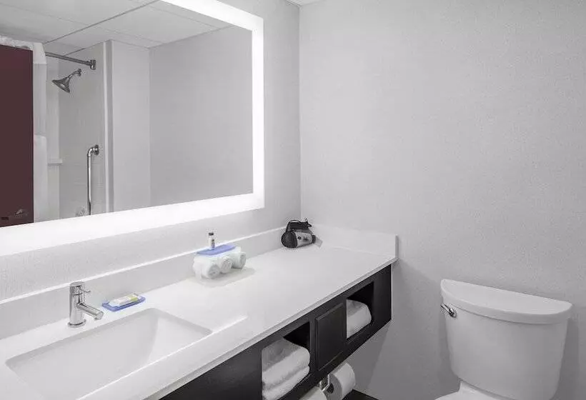 سوییت, Holiday Inn Express & Suites Asheville Sw   Outlet Ctr Area, An Ihg