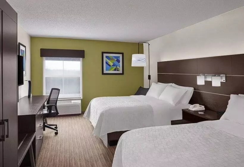 اتاق استاندارد, Holiday Inn Express & Suites Asheville Sw   Outlet Ctr Area, An Ihg