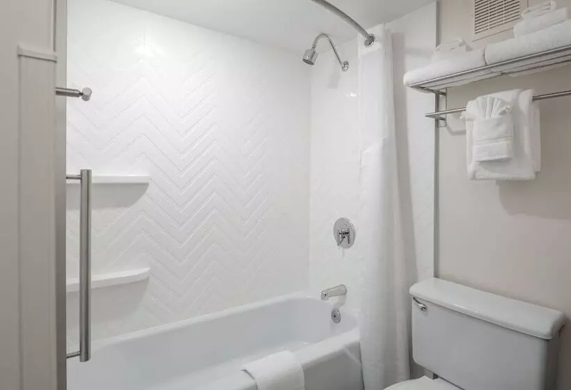 اتاق استاندارد با 2 تخت دوبل, Holiday Inn Portland By The Bay, An Ihg