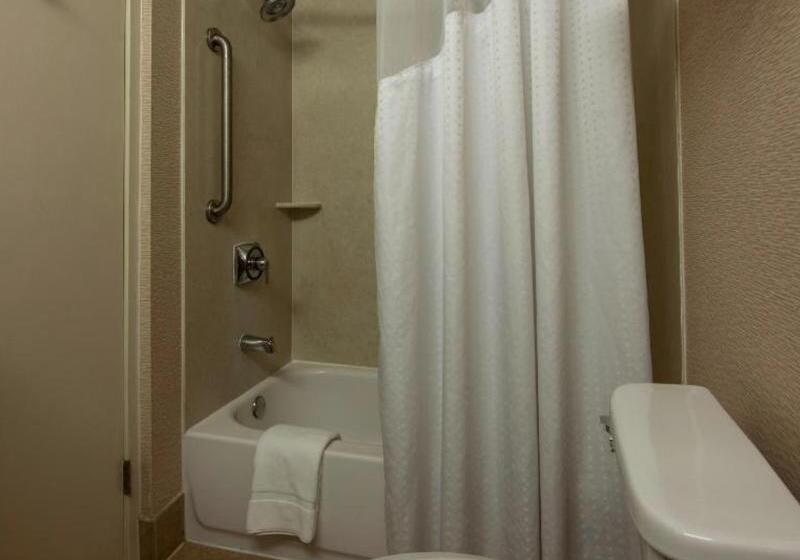 חדר סטנדרט עם מיטת קינג, Holiday Inn Santa Ana Orange County Airport, An Ihg