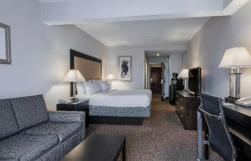 اتاق استاندارد با تخت بزرگ, Holiday Inn Santa Ana Orange County Airport, An Ihg