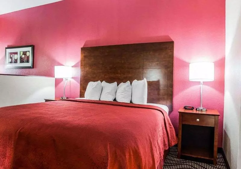 キングサイズベッドのスイートルーム, Quality Inn & Suites Altoona   Des Moines