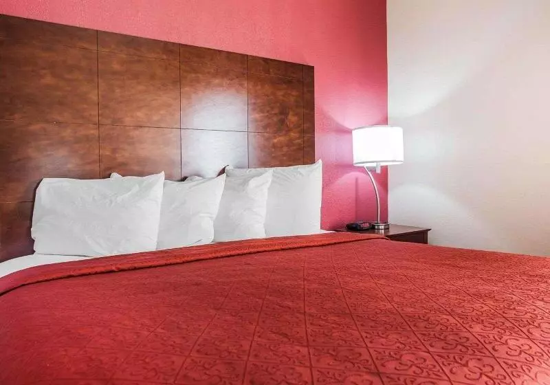 キングサイズベッドのスイートルーム, Quality Inn & Suites Altoona   Des Moines