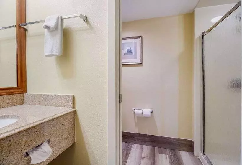 Standard-huone Parivuode, Quality Inn Baytown Houston East