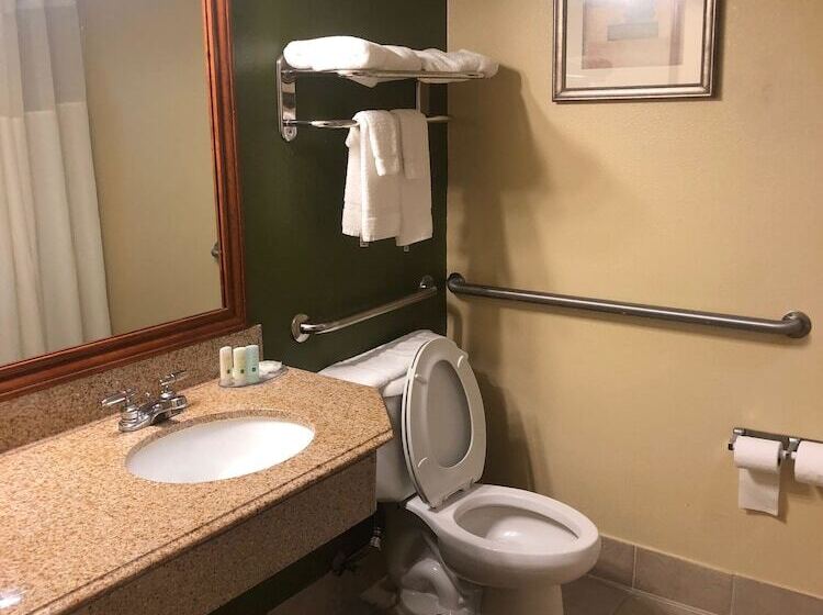 Номер Стандарт Двуспальная Кровать, Quality Inn Baytown  Houston East