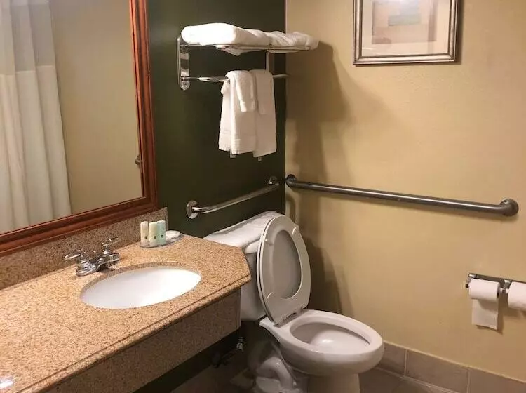 Standard-huone Parivuode, Quality Inn Baytown Houston East