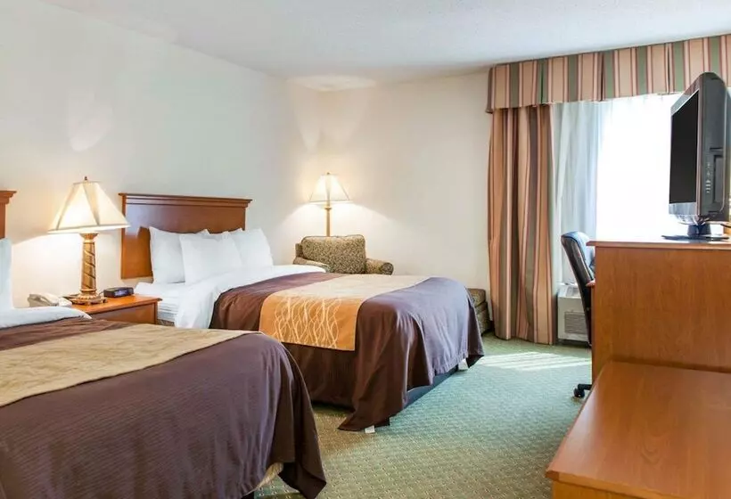 ２ダブルベッドのスタンダードルーム, Quality Inn & Suites Near Amish Country