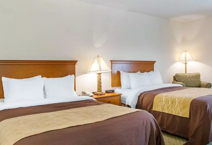 ２ダブルベッドのスタンダードルーム, Quality Inn & Suites Near Amish Country