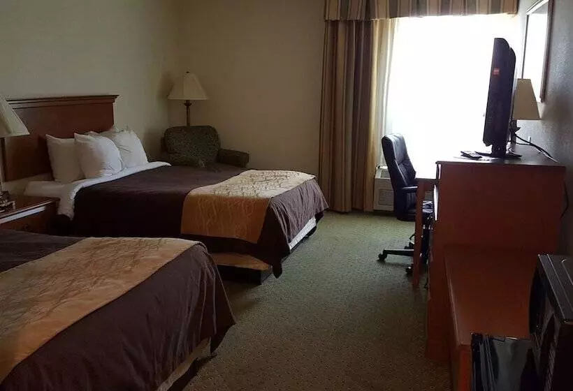 ２ダブルベッドのスタンダードルーム, Quality Inn & Suites Near Amish Country