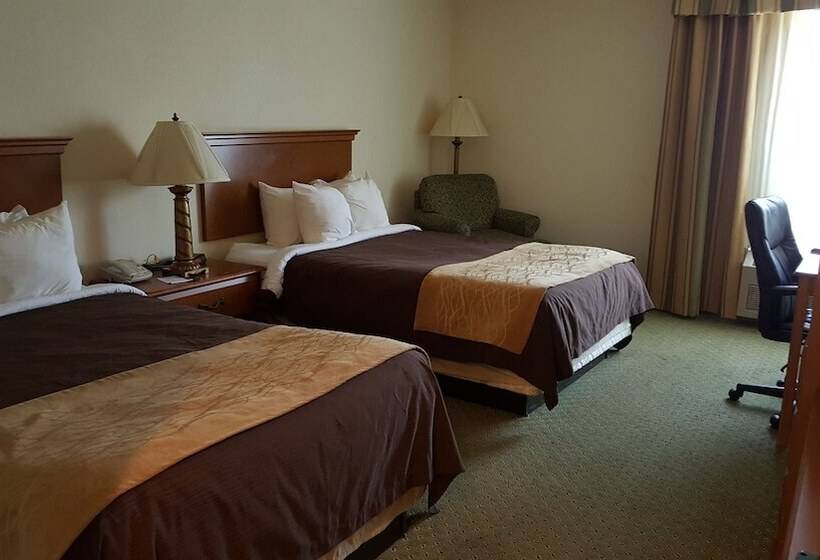 غرفه قياسيه سريرين مزدوجين, Quality Inn & Suites Near Amish Country