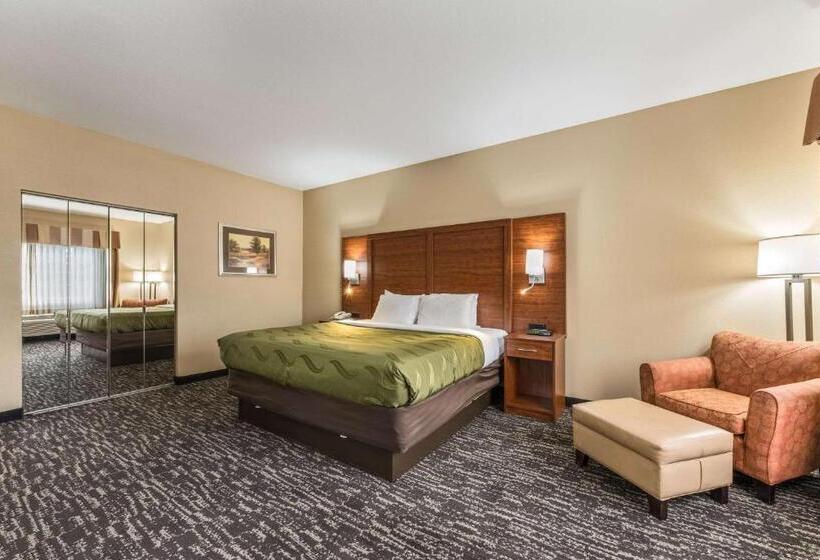 غرفة ديلوكس سرير كينج, Quality Inn & Suites Hendersonville Flat Rock