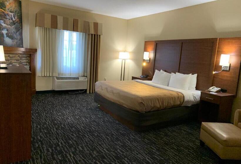 غرفة ديلوكس سرير كينج, Quality Inn & Suites Hendersonville Flat Rock