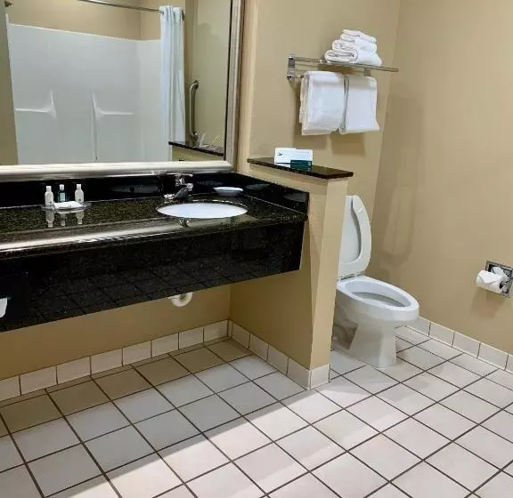 キングサイズベッドのスイートルーム, Quality Inn & Suites Hendersonville Flat Rock