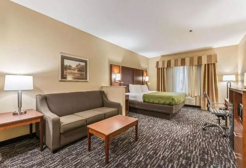 キングサイズベッドのスイートルーム, Quality Inn & Suites Hendersonville Flat Rock