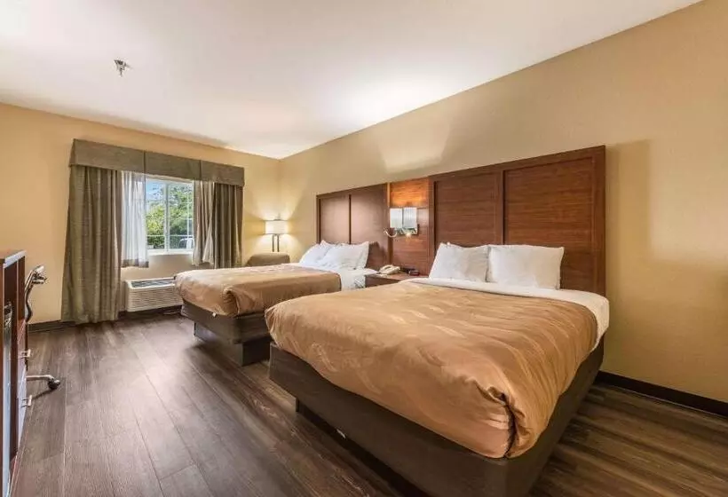 スタンダードルーム, Quality Inn & Suites Hendersonville Flat Rock