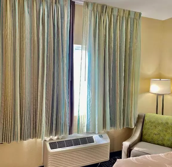 身障者適用スタンダードルーム, Quality Inn & Suites Hendersonville Flat Rock
