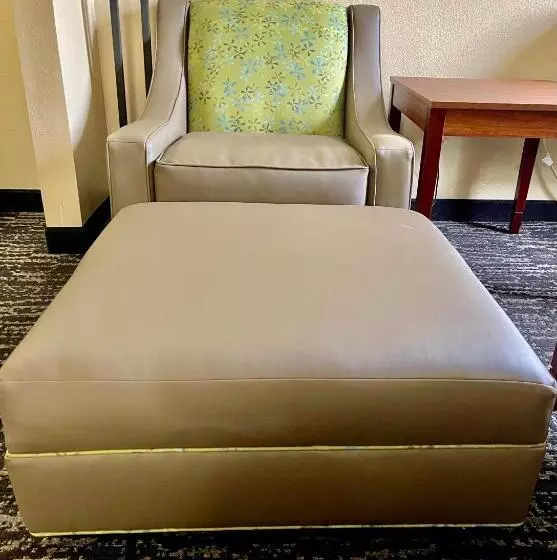 身障者適用スタンダードルーム, Quality Inn & Suites Hendersonville Flat Rock