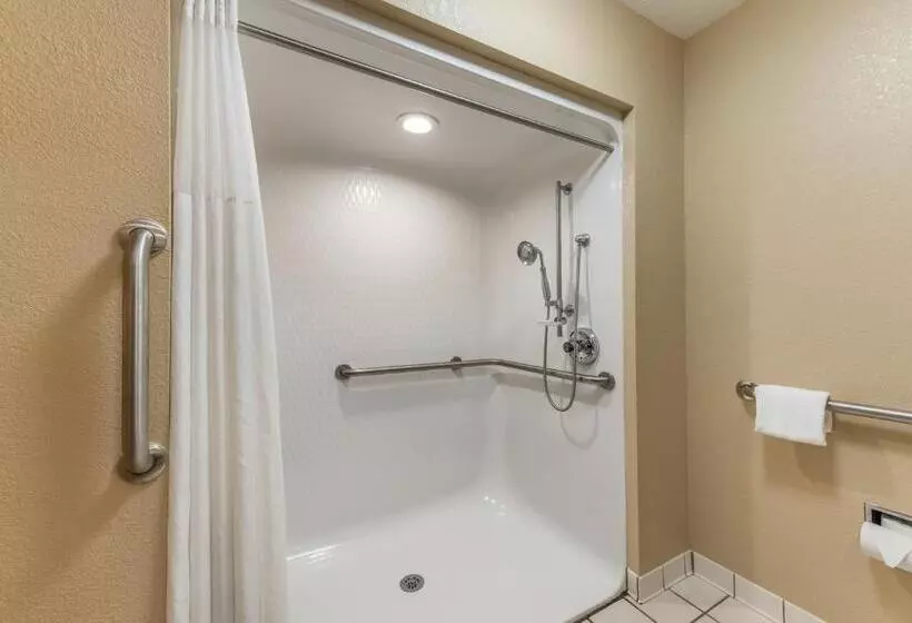 身障者適用スタンダードルーム, Quality Inn & Suites Hendersonville Flat Rock