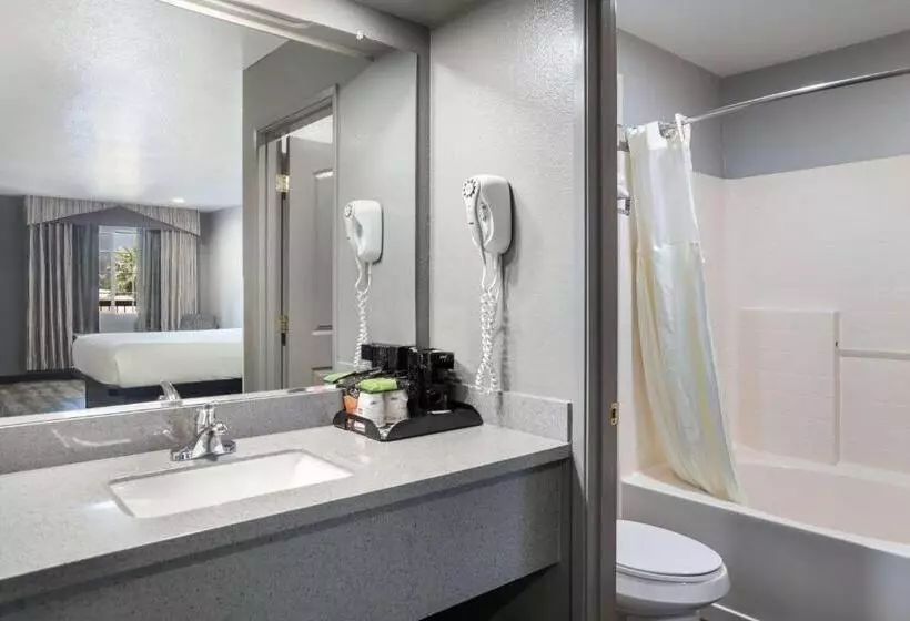 اتاق استاندارد با تخت بزرگ, Surestay Hotel By Best Western Ukiah