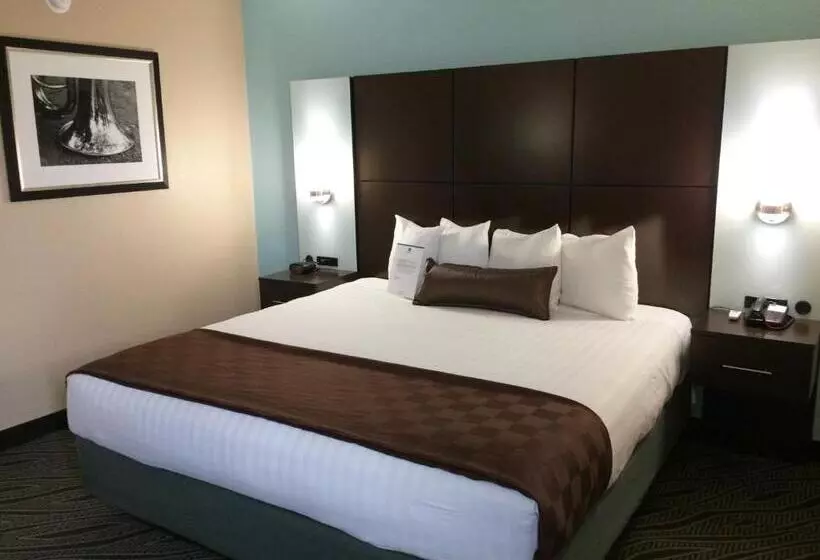اتاق استاندارد با تخت بزرگ برای معلولان, Best Western Plus Galleria Inn & Suites